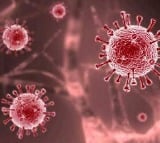 Next Pandemic Is Absolutely Inevitable Warns Top British Scientist