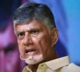 Chandrababu Holds Teleconference with Key TDP Leaders Ahead of Vote Counting