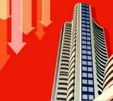 Sensex falls 314 points amid muted global cues