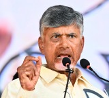 Victory celebrations break out in TDP camp