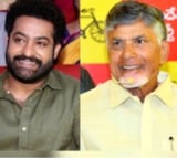 Andhra Assembly polls: Jr NTR congratulates Chandrababu Naidu, Balakrishna