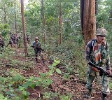 8 Naxalites killed in encounter in Chhattisgarh