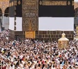 Over 550 Hajj pilgrims die in Mecca 