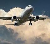 Woman Passenger Bites Crew Member After Ruckus On Plane