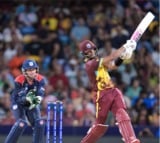 T20 World Cup: Hope, Chase dominate USA to set nine-wicket victory for WI