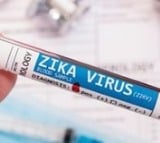 Karnataka govt asks DCs to be vigilant against Zika virus spread along with dengue