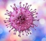 This symptomless herpes virus can harm newborns, organ transplant &
 HIV patients