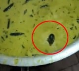 Mouse Appeared in Chutney Bowl in Sangareddy JNTU College Canteen