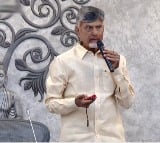 CM Chandrababu releases white paper on energy sector 