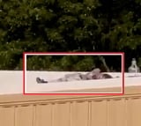 Video Of The Trump Shooter Shelter On A Building Roof
