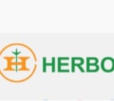 Herbochem Introduces Innovative Plant-Based Protein Line: A Sustainable Alternative for the Future