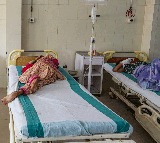 Six children die due to suspected Chandipura virus  in Gujarat