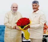 Centre, Andhra Pradesh will devise recovery plan: Chandrababu Naidu