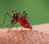 Israel reports 3 new fatalities from West Nile fever, total at 36