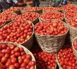 Tomato Price For Kilogram Reached Rs 100 In Vizag