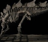 Citadel founder Ken Griffin has shattered auction records by splurging 44 million dollars for a dinosaur skeleton