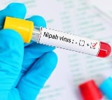 Centre alerts state govts after Nipah virus emerged in Kerala 
