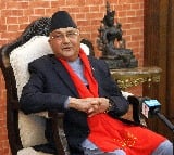 Nepali PM Oli wins vote of trust