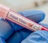 Nipah virus alert sounded in Rajasthan