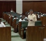 CM Chandrababu opines on budget grants for AP