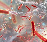 New antibiotic may make bacterial resistance nearly impossible