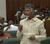 CM Chandrababu releases White Paper on Excise Policy