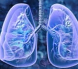 This Chinese medicinal fungus may help treat chronic lung disease