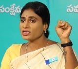 Your arrogance led to your downfall, Sharmila tells Jagan