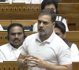 Alarming rise in landslides, urgent need for mapping prone areas: Rahul on Wayanad tragedy