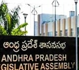 YSRCP takes a dig at Andhra Pradesh government over vote on account