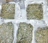 Police seized huge quantity of cannabis in Hyderabad