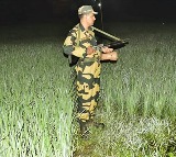 BSF deploys more troops along Indo-Bangla border as unrest escalates in B'desh