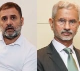 LoP Rahul Gandhi meets EAM Jaishankar as Bangladesh crisis escalates