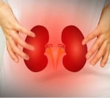 Liquid biopsy could prevent kidney transplant rejections, new study shows