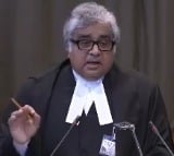 IOA engages Harish Salve, Vidushpat Singhania to represent Vinesh before CAS