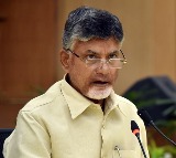 AP CM Chandrababu Pledge For Input Subsidy For Farmers