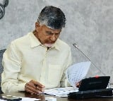 CM Chandrababu appoint a committee for Visakha MLC election 