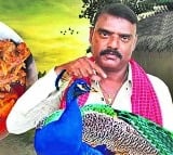 Telangana YouTuber detained after backlash over ‘peacock curry’ video