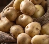 Cop suspended for asking for 5kg potatoes as bribe in Uttar Pradesh