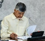 CM Chandrababu reviews on state medical and health dept