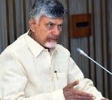 Andhra Pradesh plans aqua food processing based industrial parks