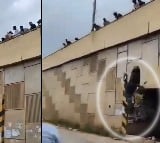 Angry Over Performing Dangerous Stunts For Instagram Reels Mob Throws Youths Scooter Off Bridge