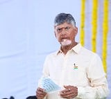 CM Chandrababu fires on Food Poisioning issue