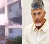 Achyutapuram Sez Fire Accident TDP Fires on YSRCP