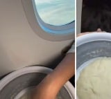 Woman Prepares Bread Dough In Aircraft Video Went Viral