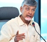 CM Chandrababu reacted on Bollywood actress Kadambari Jatwani issue