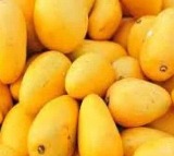 Pakistan exports mangoes to 42 countries, UK largest importer