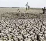 How drought and GDP are related, shows new study