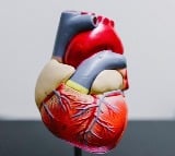 Study shows kidney, diabetes drug may boost survival in heart failure patients