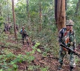 10 Maoists Killed in Encounter in Chhattisgarh